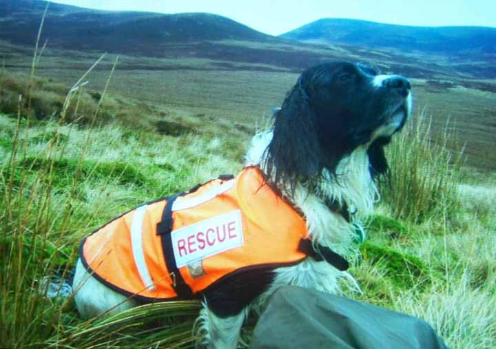 Borders Search and Rescue 3